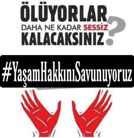 Seddanis's tweet photo. #YaşamHakkınıSavunuyoruz https://t.co/meDmQfTEgz