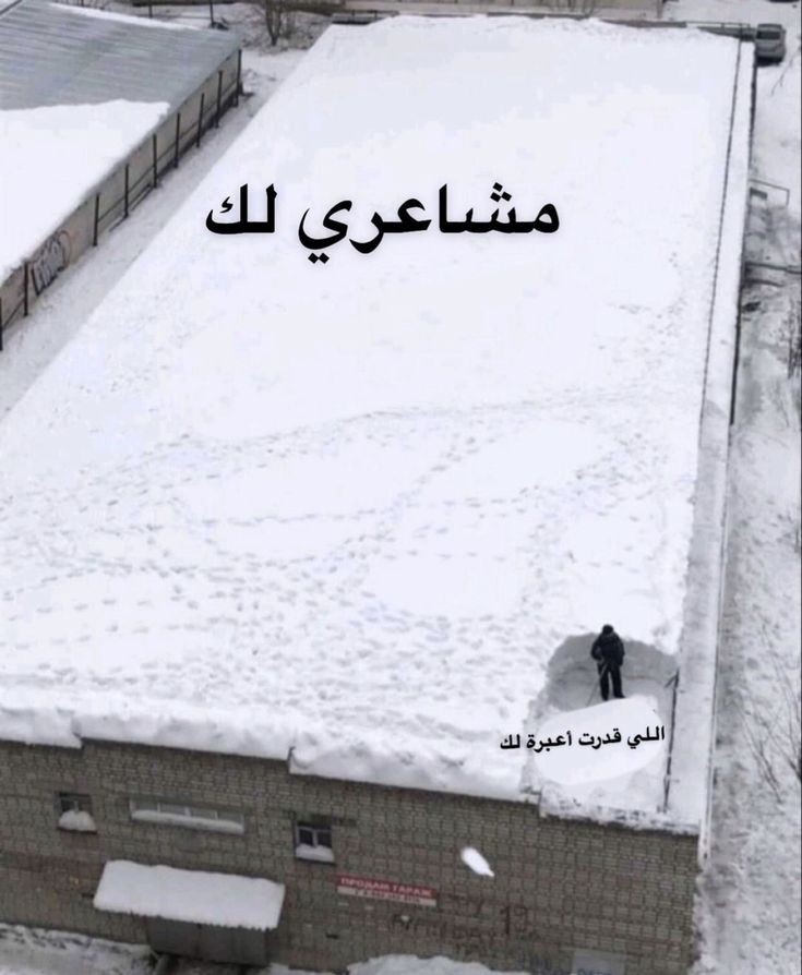 #برج_الثور وتعبيره عن مشاعره 🌚