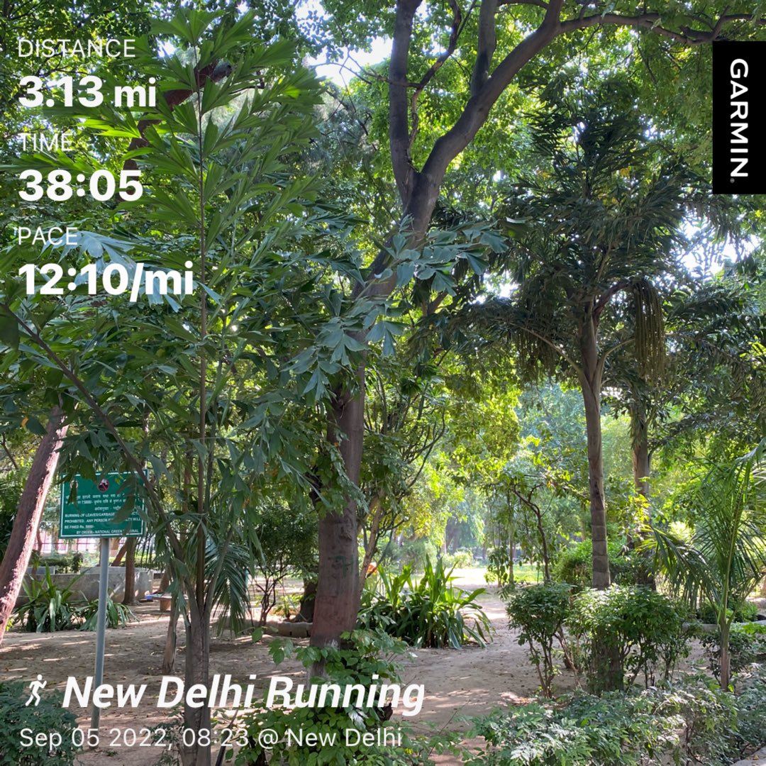 2winit's tweet photo. #Running #5K with a bruise knee and adjusting to Delhi weather. #Vibrant #life in #Delhi #parks will slow you down to notice people of all ages doing #yoga, playing #badminton using exercise equipments, casual walks in group. #Chaotic yet #harmonized and at #home. #delhirunning https://t.co/WkPZoFUlQ4