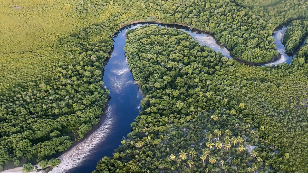 choleshamba's tweet photo. Mafia Island (Chole Shamba), Tanzania 📸 @shaunamahajan https://t.co/165BUMdrOD