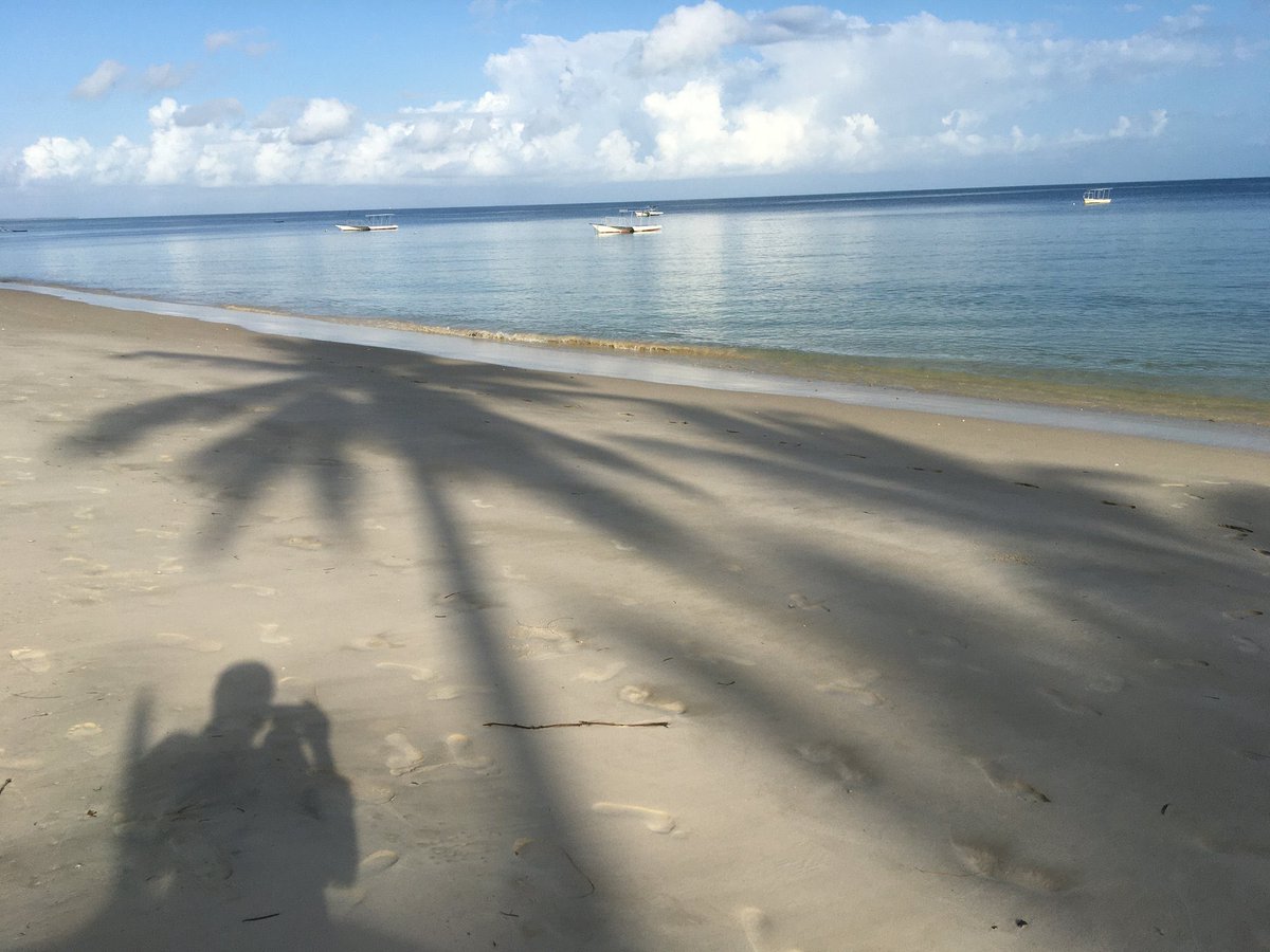choleshamba's tweet photo. Mafia Island (Chole Shamba), Tanzania shores. 📸 @amoafrika https://t.co/QFNfVmFxCM