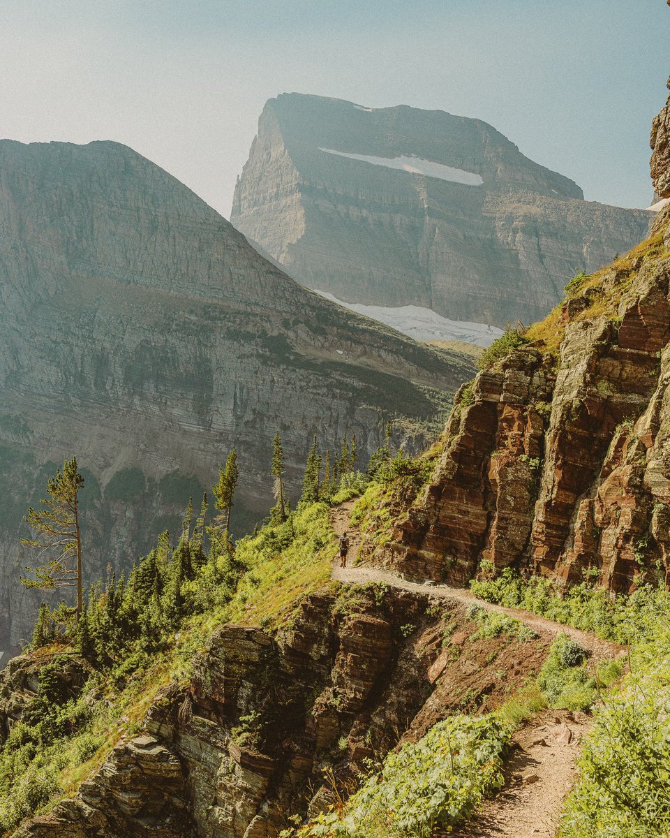 inthemeadow's tweet photo. montana greens https://t.co/OQdMs4ymSi