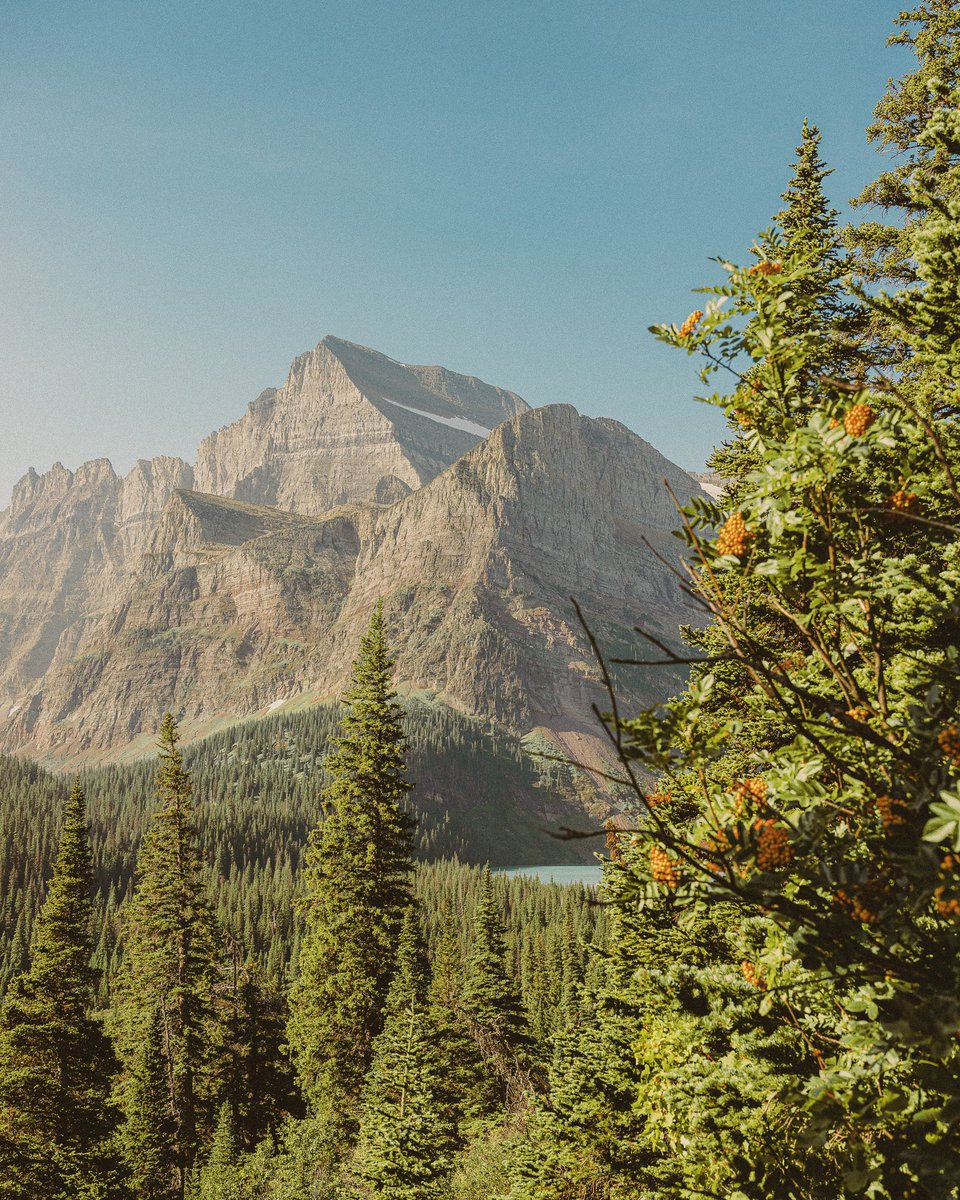 inthemeadow's tweet photo. montana greens https://t.co/OQdMs4ymSi
