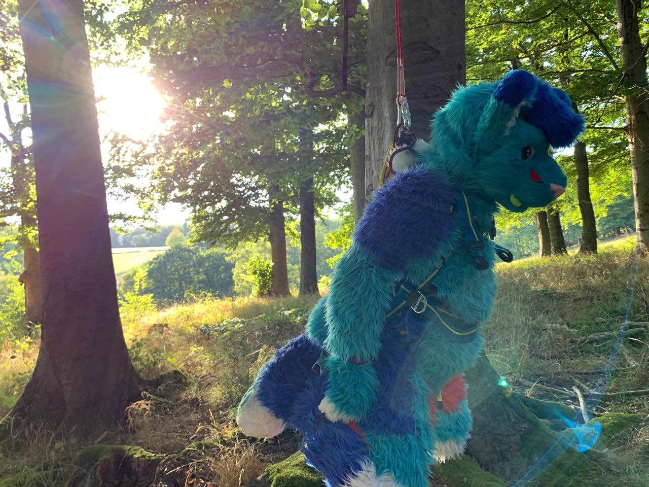 1 pic. This cat had a little „hanging“ experience outside in the woods UwU Pics by: @RouHuskyAD #murrsuit #murrsuitmonday #cat #outdoorfun https://t.co/O535ZRWWbJ