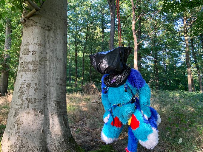 This cat had a little &bdquo;hanging&ldquo; experience outside in the woods UwU  Pics by: @RouHuskyAD  #murrsuit<a href="/tag/cat"class="tags"><span>#cat</span></a><a href="/tag/outdoorfun"class="tags"><span>#outdoorfun</span></a><a href="/tag/murrsuitmonday"class="tags"><span>#murrsuitmonday</span></a><a href="/tag/murrsuit"class="tags"><span>#murrsuit</span></a>