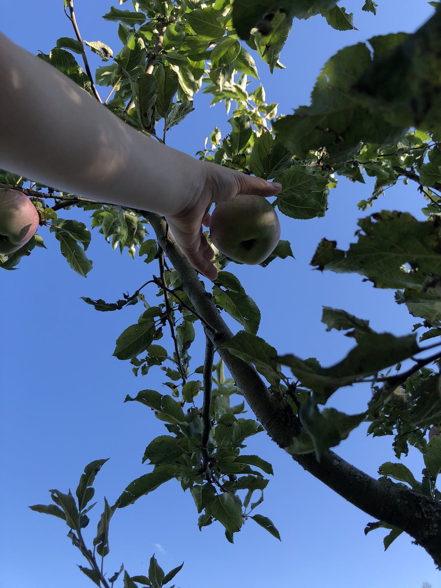 Cliocyclist (@cliocyclist) on Twitter photo Die Karte mit den Obstbäumen der <a href="/ublu_ch/">Umweltberatung Luzern</a> ist eine super Idee. Heute gleich mal hingeradelt und genascht. Den Kindern und mir hat’s gut gefallen. Danke <a href="/stadtluzern/">Stadt Luzern</a> 🍎🍐🍏.
umweltberatung-luzern.ch/themen/natur-g… Die Karte mit den Obstbäumen der <a href="/ublu_ch/">Umweltberatung Luzern</a> ist eine super Idee. Heute gleich mal hingeradelt und genascht. Den Kindern und mir hat’s gut gefallen. Danke <a href="/stadtluzern/">Stadt Luzern</a> 🍎🍐🍏.
umweltberatung-luzern.ch/themen/natur-g…