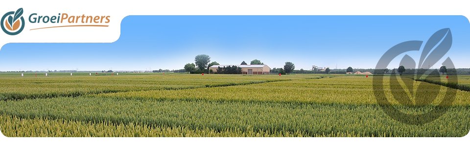 Resultaten onderzoek wintergranen 2022 zijn weer bekend. Ga naaar: groeipartners.nl/granen/resulta…
#wintertarwe #wintergerst #onderzoek