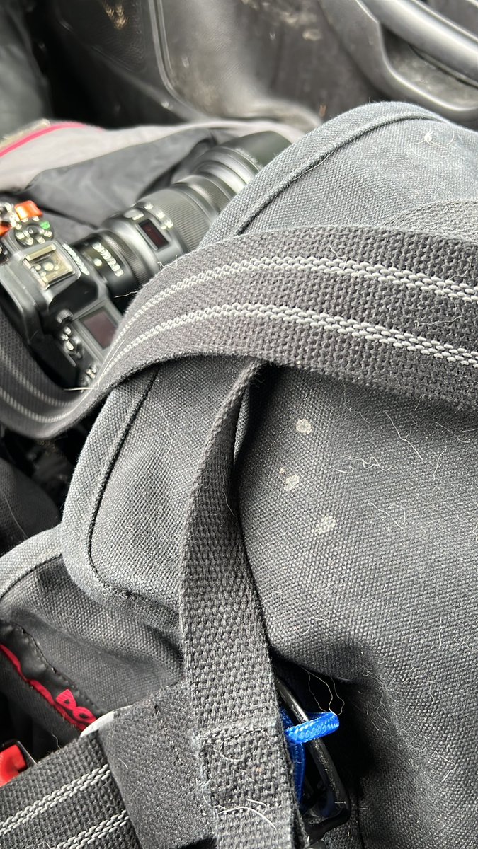 I think I have more cat hair than cow slobber on my camera bag. #smalltown #photojournalist