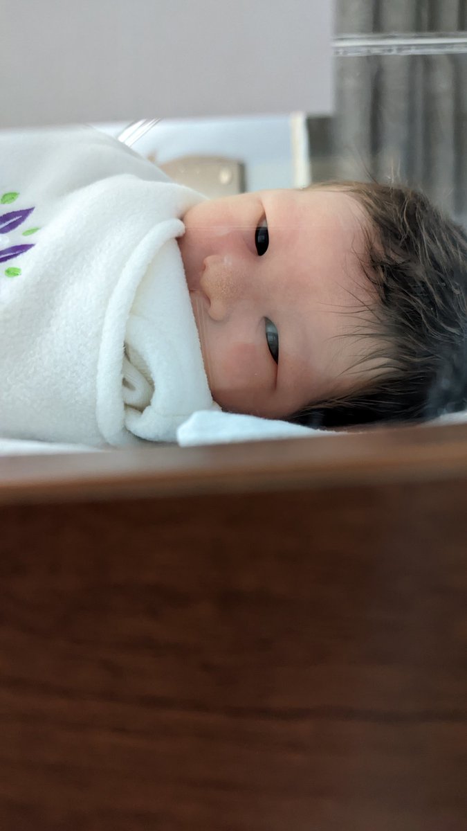 Brian Wang tweet media