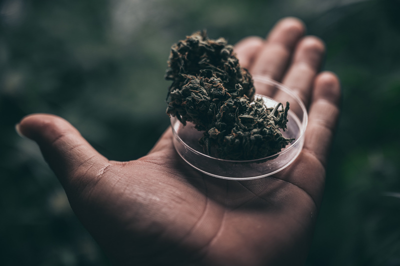 bredly_weed's tweet photo. If you haven’t heard of laughing gas weed strains before, that’s because they are one of the lesser known cannabis types out there. Despite being slightly obscure, however, these weirdly-named cannabis strains are unique and offer something a little

https://t.co/dG0dgC9O81 https://t.co/ofgps5SE9B