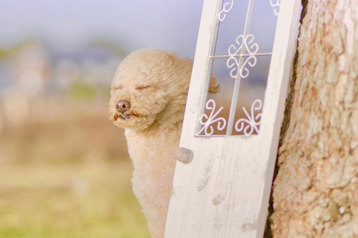 かっかかっかぜが、、、 Too much wind. ＃写真好きな人と繋がりたい