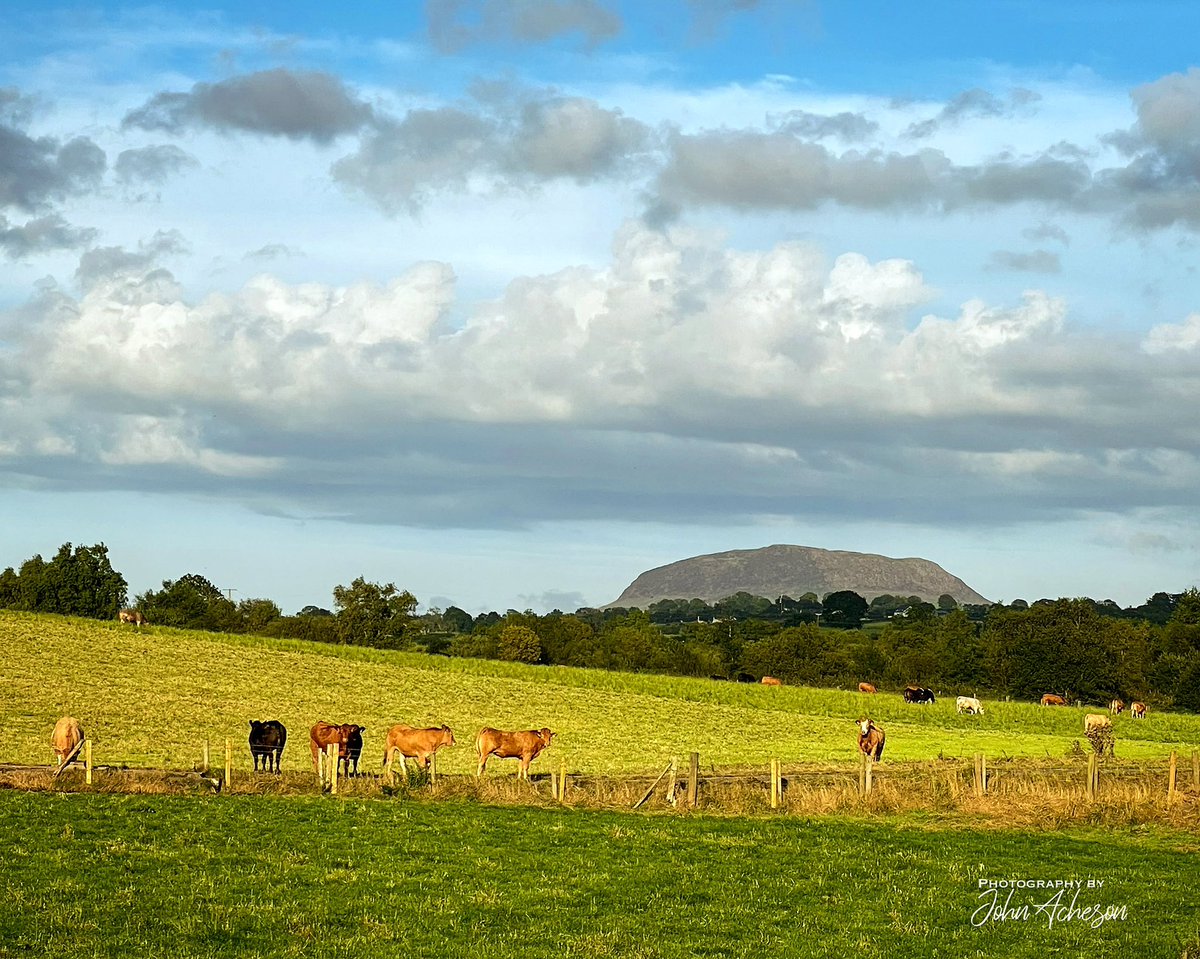 john_boy24's tweet photo. The colours of the countryside https://t.co/OBbt3sKXUg