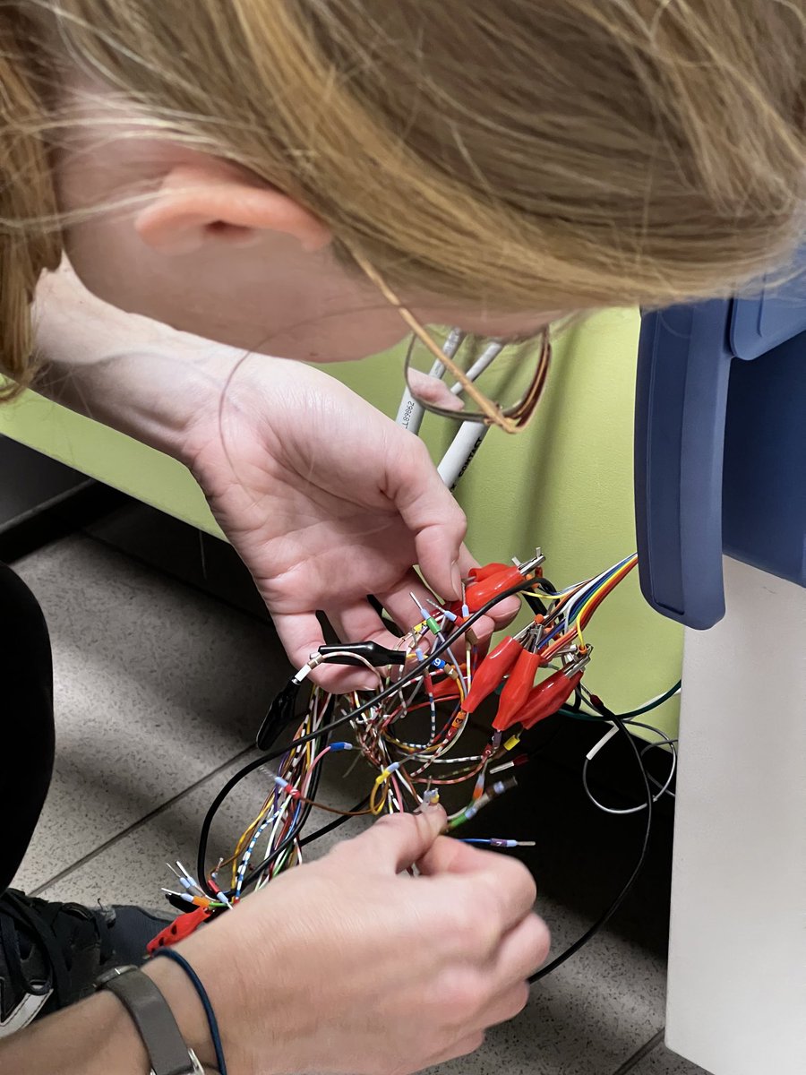 DrMartinJN's tweet photo. I’m equally surprised every time this snakes’ nest actually works! #electochemistry #MUX #GoodStudents https://t.co/MJpS0IQOgK