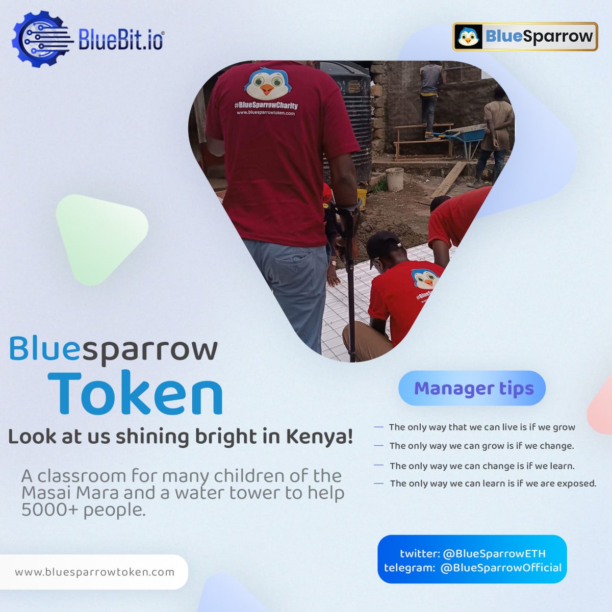 Rabinhod101's tweet photo. @Bluebit_io Do you know any token with these features?
-Centralized exchange
-NFT Marketplace
-Daily draws
-IOS app
And the pioneer of building schools and hundreds of charity works?
Yes, you guessed it right: #BlueSparrow
Native #BlueBit token https://t.co/dEwj2LjUBW