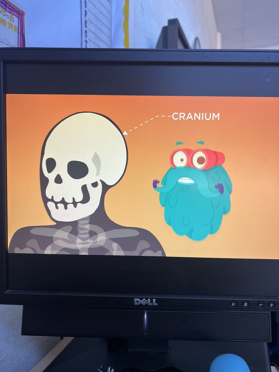 MissMcKayNPS's tweet photo. Note taking skills on the skeleton 📝🦴 these will form part of our report on our topic - My Body! https://t.co/wC6oaUsoWp