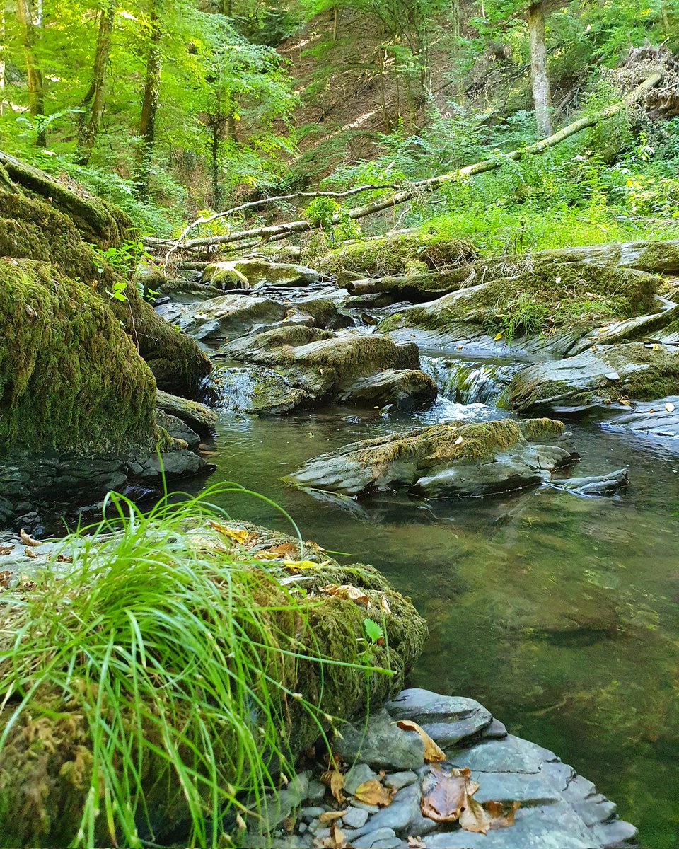 _Bertien_'s tweet photo. @Hollydeesz Ja, ook mooi maar dit is Traumschleife Ehrbachklamm, #Mermuth https://t.co/G7DpMFgCCW
