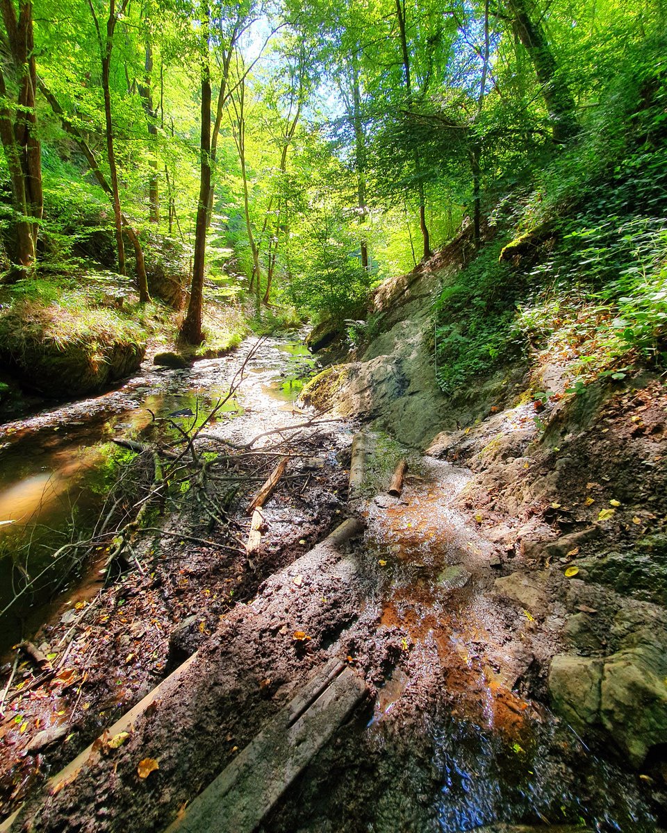 _Bertien_'s tweet photo. @Hollydeesz Ja, ook mooi maar dit is Traumschleife Ehrbachklamm, #Mermuth https://t.co/G7DpMFgCCW
