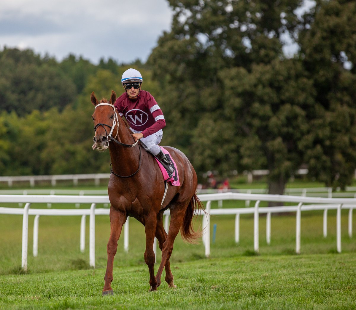 KYDownsRacing's tweet image. RED ROUTE ONE scores one for the home team in race two, the Richard S. Leigh Memorial. Owner/breeder Winchell Thoroughbreds, LLC also campaigned the colt's sire, GUN RUNNER (@Three_Chimneys). Jockey Vincent Cheminaud was aboard for trainer Steve Asmussen. 

#TheFanDuelMeetatKD