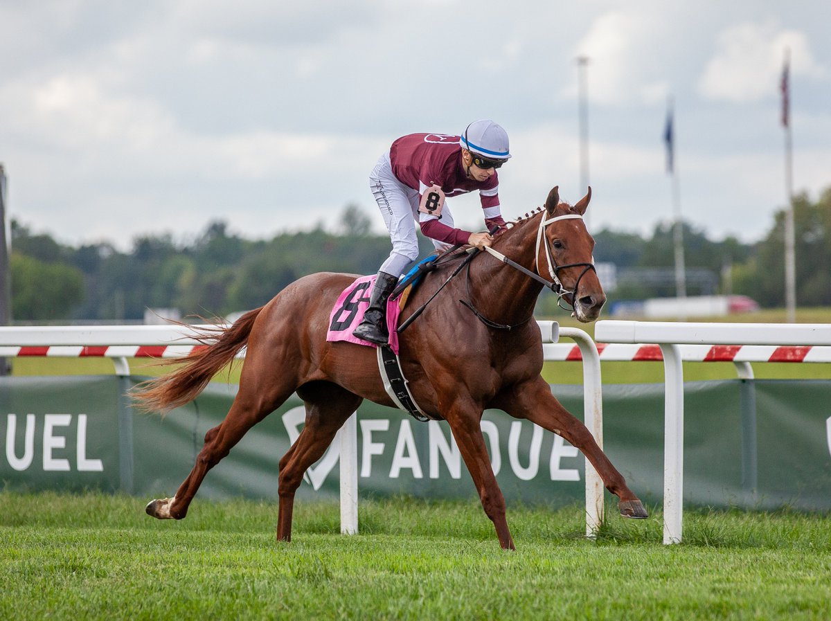 KYDownsRacing's tweet image. RED ROUTE ONE scores one for the home team in race two, the Richard S. Leigh Memorial. Owner/breeder Winchell Thoroughbreds, LLC also campaigned the colt's sire, GUN RUNNER (@Three_Chimneys). Jockey Vincent Cheminaud was aboard for trainer Steve Asmussen. 

#TheFanDuelMeetatKD