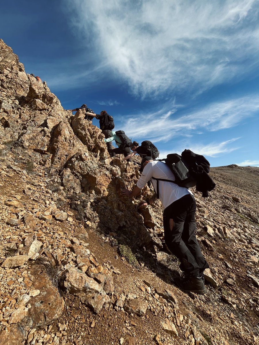 Billelis tweet media