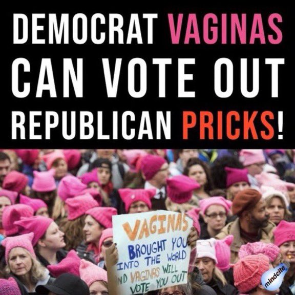 mnsnowta's tweet photo. @fireman452a @nhighlands7 This ad is perfect let’s make it go viral. #VoteBlueToProtectWomen #VoteBlueToProtectLGBTQ #VoteBlueToSaveDemocracy https://t.co/FXbgGFyJrQ