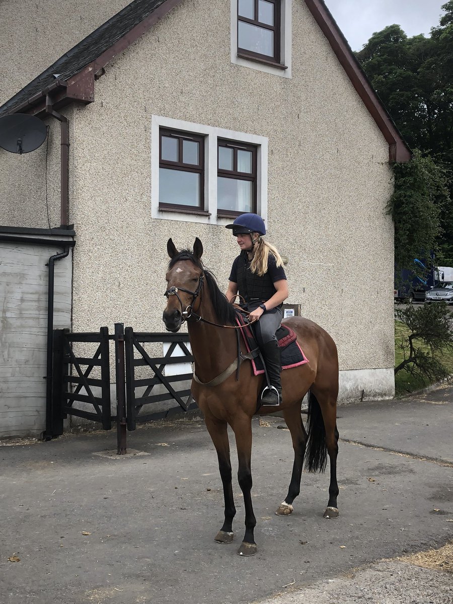 iainrobertson5's tweet photo. What a day @PerthRacecourse as Bob gets his head in front under a brilliant @mania450 ride ๐thanks to @tashaamckeeee & everybody else @MikeSmithRacin1 for all their hard graft #gobobgo #winner ๐๐๐พ๐พ๐พ https://t.co/kkjdApFZMo