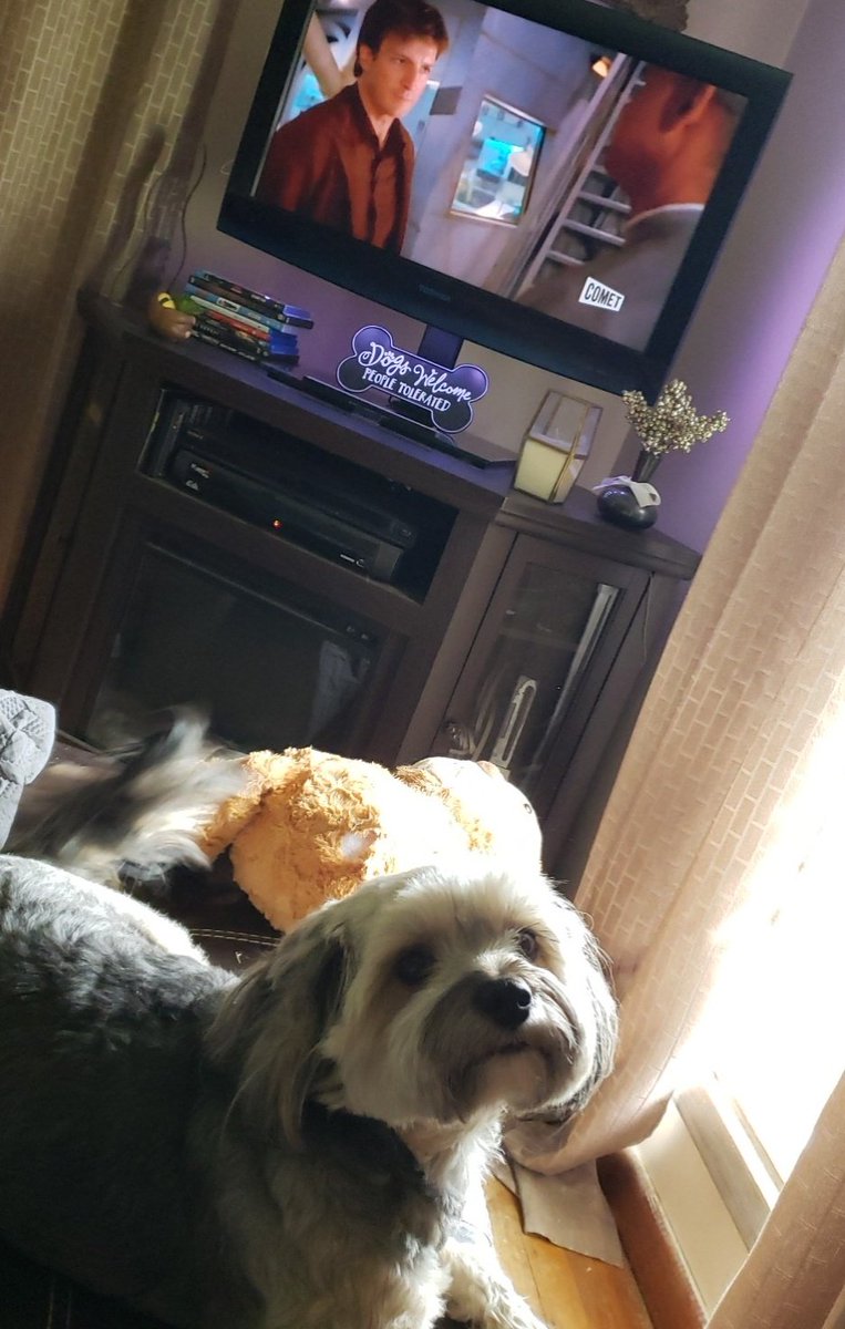 theonlygolden's tweet photo. Ah Home Again, Home Again... just in time to find Mighty starting a #Firefly marathon! #Nerdcation https://t.co/R6qXQTQcWO