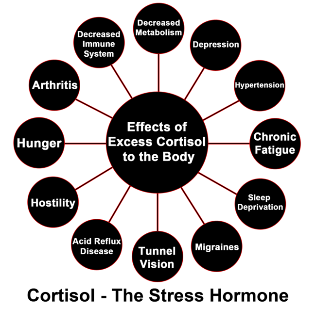 hormonedietdoc's tweet photo. Central fat cells found mainly deep in the abdominal wall have 4X times the Cortisol receptors than other fat cells. Prolonged stress activates Cortisol-fat storing &amp; you become a fat-storing machine. Lower internal stress w/ exercise, sunshine, grounding &amp; herbs like Ashwagandha https://t.co/kV8oGTJ2rM