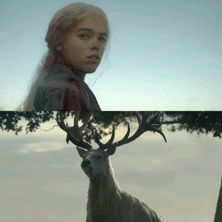 axy360's tweet photo. #HouseoftheDragon 
#HouseOfTheDragonHBo 
#Legitimidad https://t.co/D2J1yiFILn