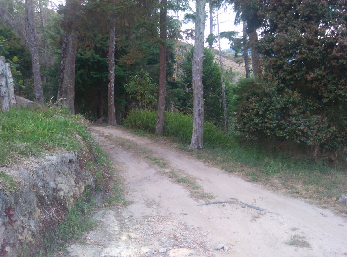 CTovar03's tweet photo. Un paseo para despejar la mente #coloniatovar #FelizInicioDeSemana https://t.co/L2UlJDRnAS