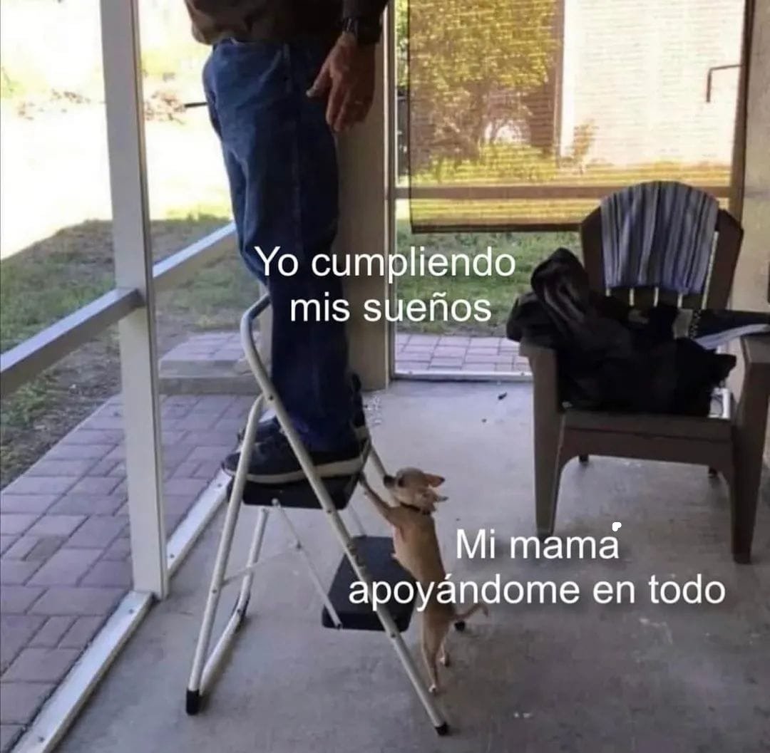 DiloConPerritos's tweet photo. Tqm mamá 🥺 https://t.co/lKEvW5H5In