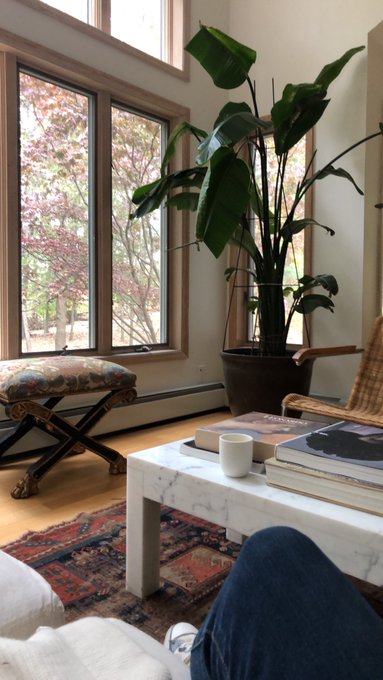 Hanging out in the sunroom&hellip; Happy Memorial Day! https://t.co/gXsSVhjudE<a href="/tag/sunset"class="tags"><span>#sunset</span></a>