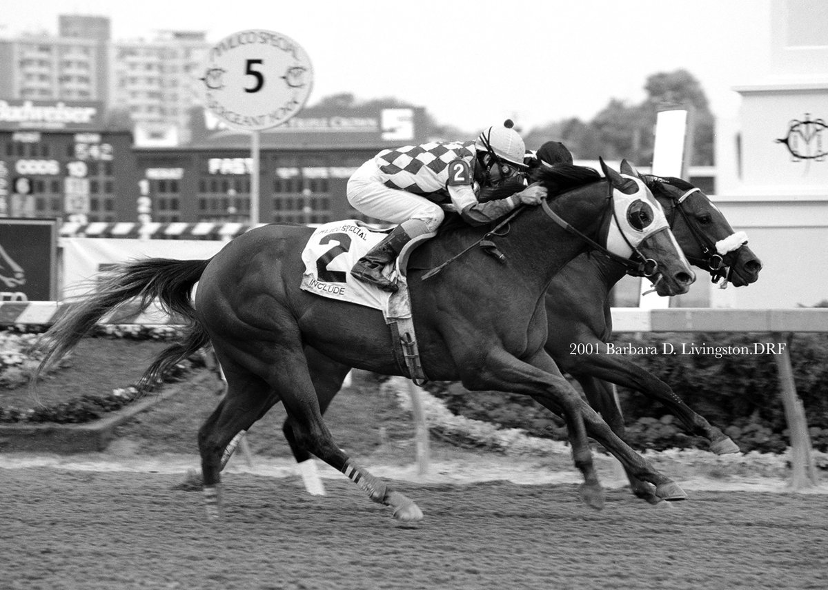 Daily Racing Form on Twitter "RT DRFLivingston Goodbye, INCLUDE