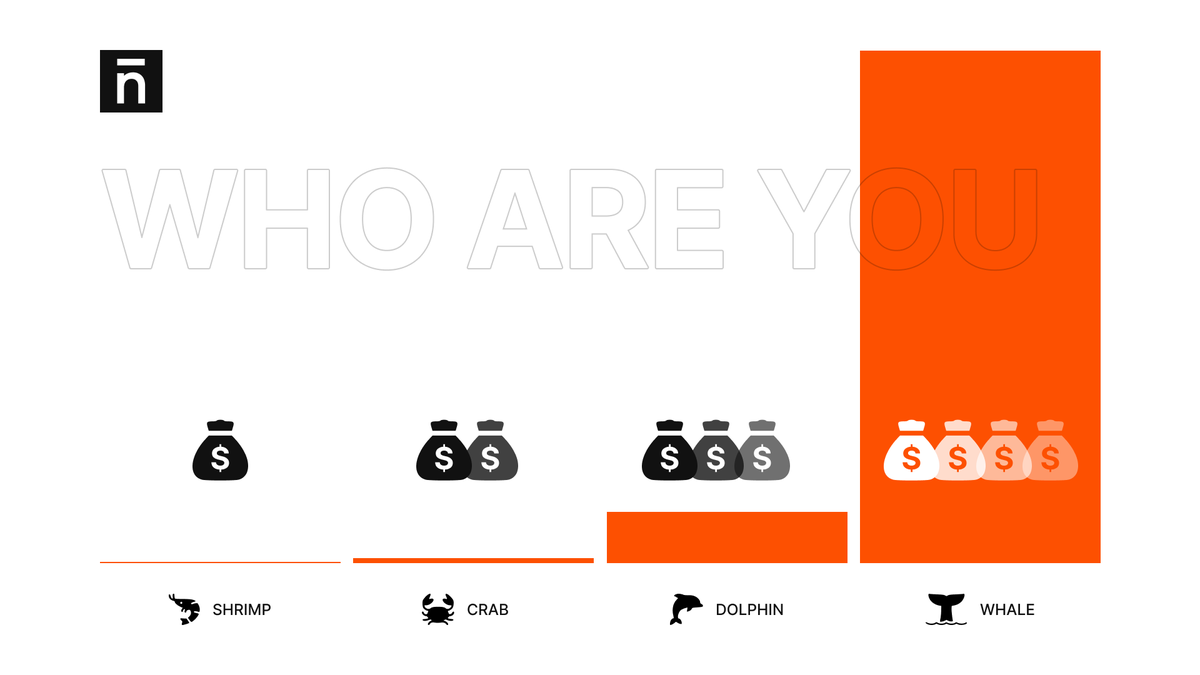 Do you own $NBU and $GNBU?

Are you a crab🦀, a dolphin🐬, or maybe a whale🐳?! 

Even if you are a shrimp🦐, never forget you are swimming in good company!