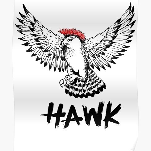 HAWK : It's kind of like FALCON, but without the Floating-Point hassle. And it signs 5 to 30 time faster. Co-designed with <a href="/EamonnPostle/">Eamonn Postlethwaite</a>, Ludo Pulles &amp; <a href="/WesselWoerden/">Wessel van Woerden</a>