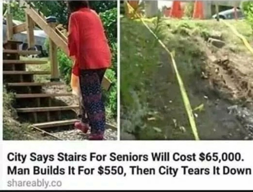 Annie Lotto tweet media