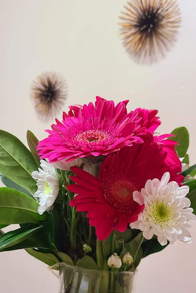 Earthly_Ronan's tweet image. Court thy Self first, and all else will fall into alignment.  

#createorder 
#heartyourheartwithkat 
#heartmathmentor
#holisticorganizer 

❤