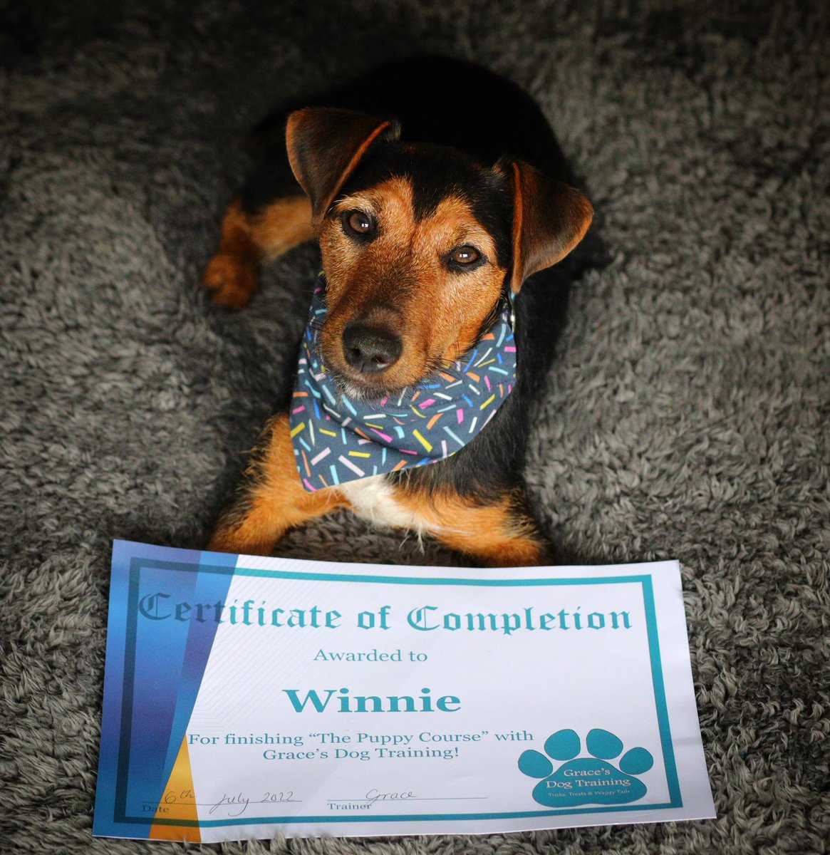 Mum is feeling a bit left out, so here it is….my #BackToSchool photo!

Mum says the lighting by our front door is awful for photos, otherwise she’d have followed the protocol! 

What do you reckon…cutest kid in the class!🐶

#dogsoftwitter #womaninbizhour