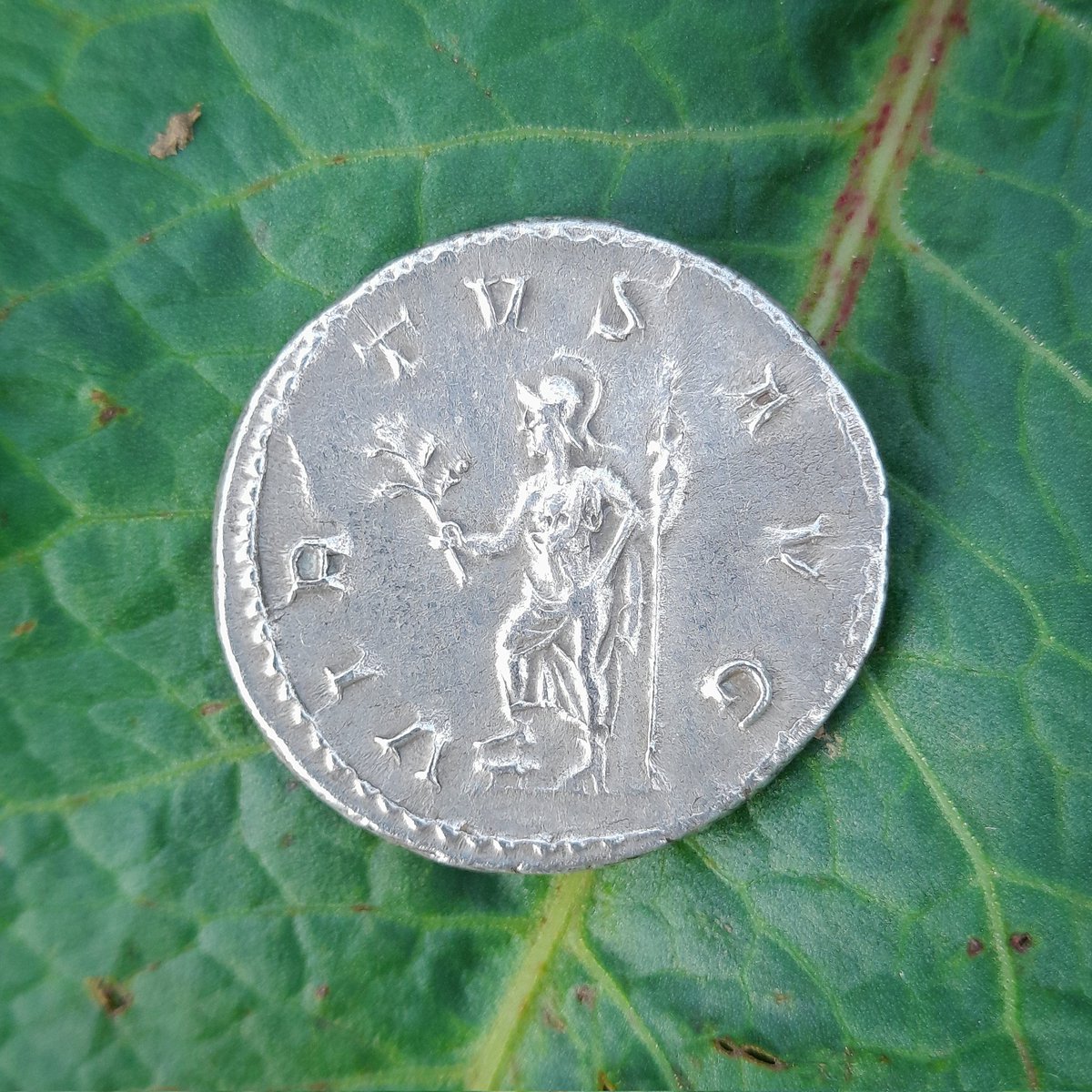 TheMentalDetect's tweet photo. Beautiful philip I roman silver coin🥰💖
#silvercoin #beautifulgold #silvercoins #metaldetecting #metaldetectinguk #metaldetectinggold #numista #numismatics #numismatik #goldbullion #coincollecting #coincollector #coin #coins #metaldetectingfinds #westmidlands #romansilver https://t.co/goc5yHweaA