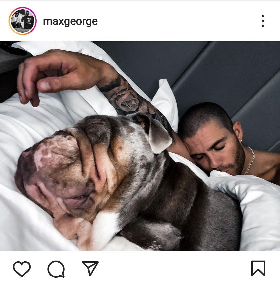 Awww
