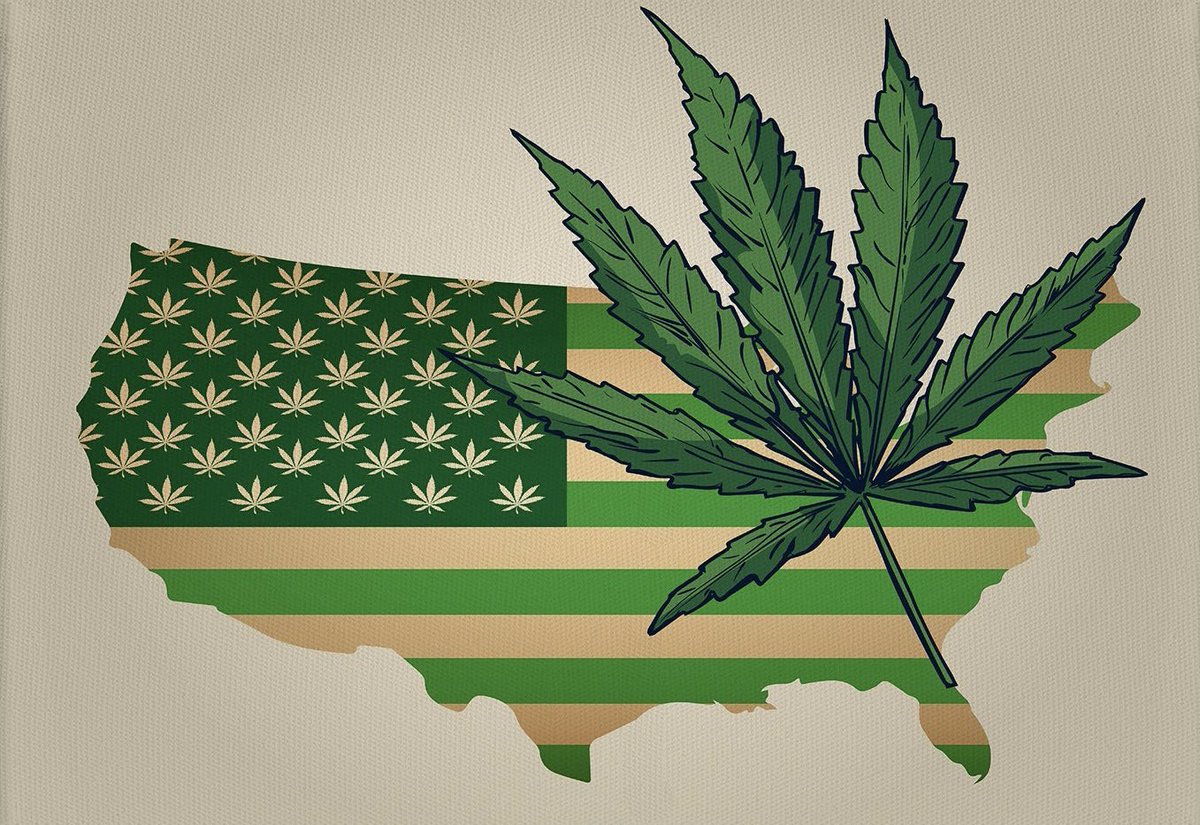 WeedGenics tweet media