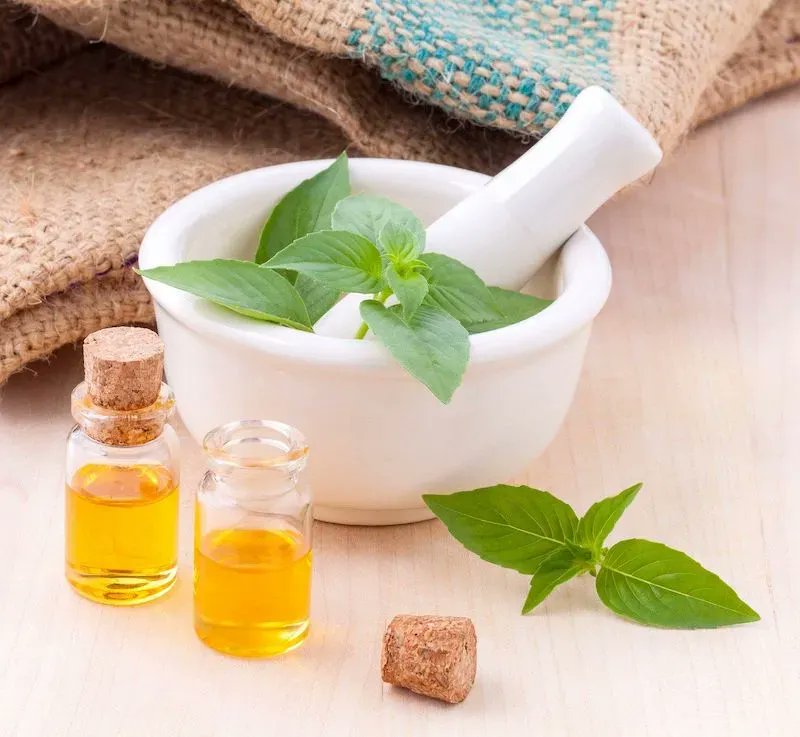ymaadotcom's tweet photo. Good News Legacy: Preparing Some Herbs by Susan Lynn Peterson, Ph.D.
Highlights Include: Infusions • Decoctions • Syrups & Tinctures • Read More: https://t.co/PUJJSAVTHv
#health #herbs #infusions #decoctions #syrups #tinctures #remedies #doityourself #wellness #selfcare https://t.co/Q9fOGbmygc