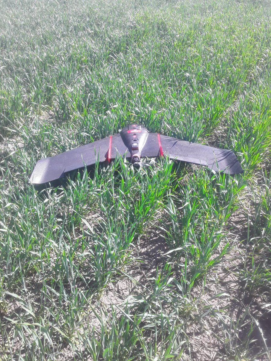 NestorDileo's tweet image. Monitoreo de franjas de suficiencia de N en trigo con #eBeeSQ de @sensefly en Bouquet, SF 🇦🇷 (1)