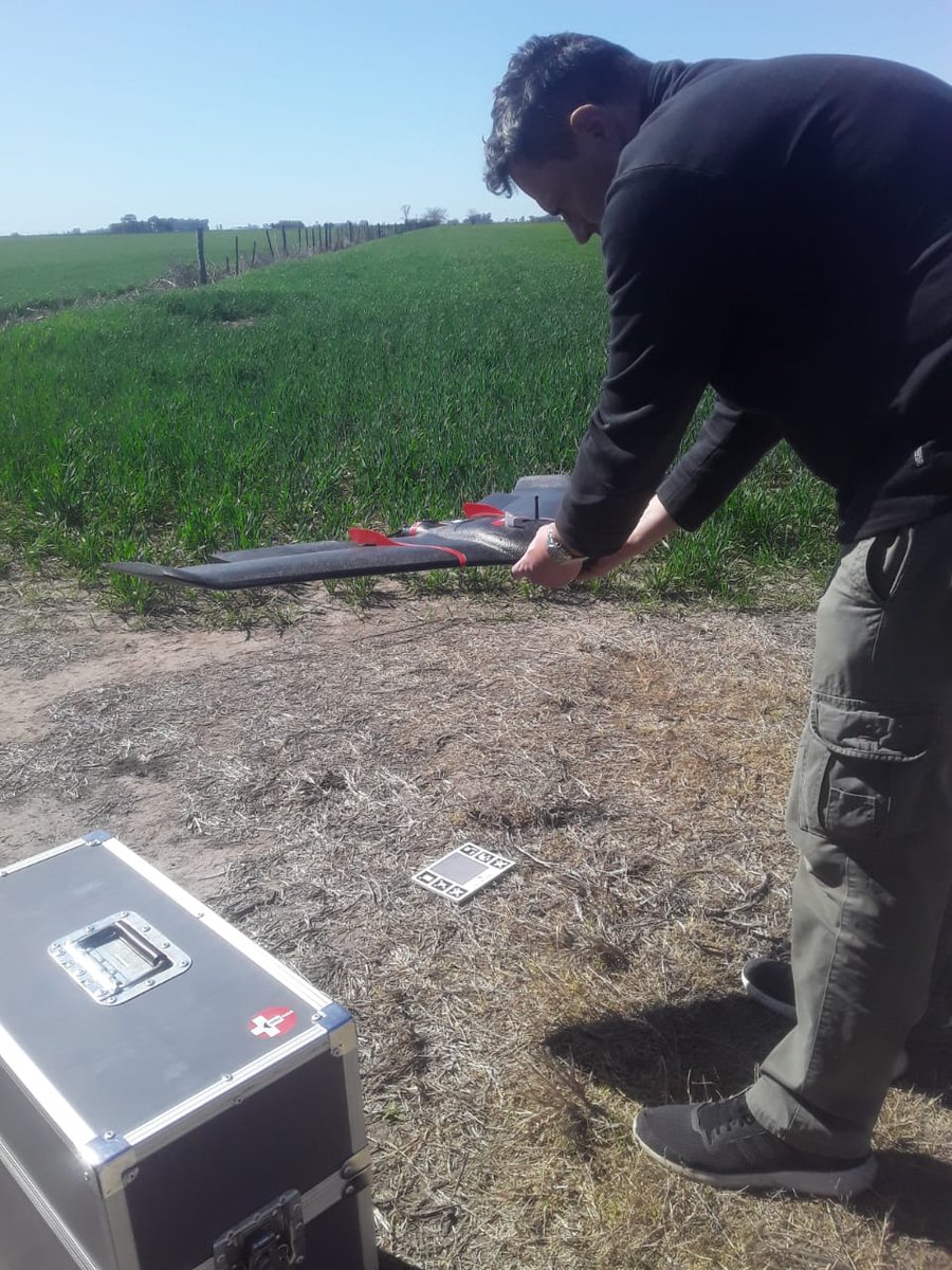 NestorDileo's tweet image. Monitoreo de franjas de suficiencia de N en trigo con #eBeeSQ de @sensefly en Bouquet, SF 🇦🇷 (1)