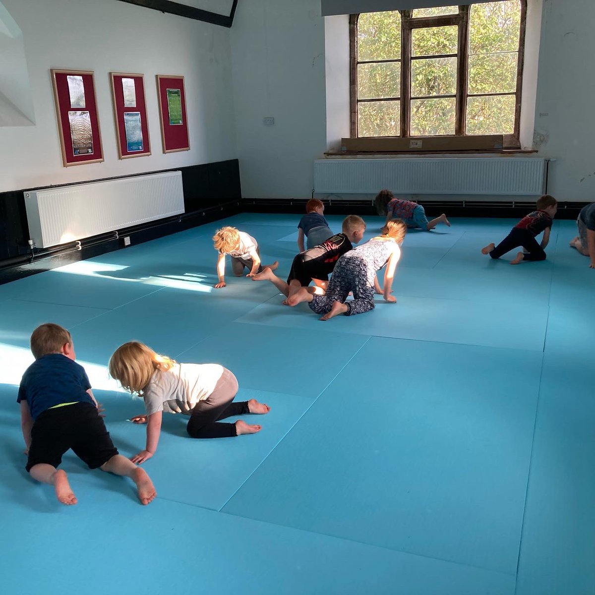 JudoKnights's tweet photo. A fantastic fun and lively last “Mat Rats” session of the Summer holidays.
Crab Football is definitely the game of the summer holidays!
#JudoKnight #judofun #BritishJudo #judofamily #funwhilstlearning #judomorethanasport #crabfootball #JudoTots #MatRats https://t.co/pSgTw9sWiM