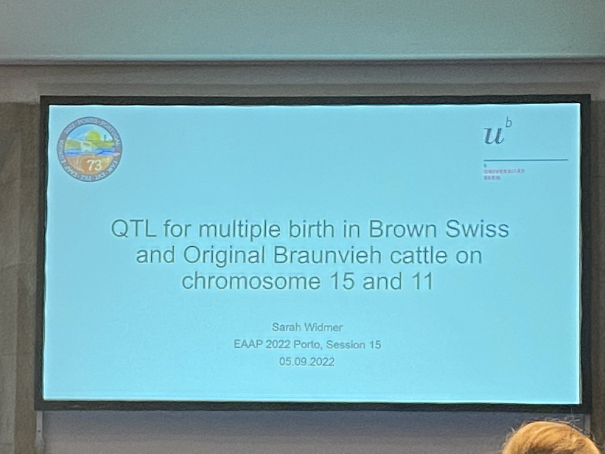 Interesting presentation of Sarah Widmer at #EAAP2022 in #Porto regarding multiple birth in #brownswiss  and Original Braunvieh cattle. A nice collab between #unibern <a href="/QualitasAG/">Qualitas AG</a> and <a href="/BraunviehCH/">Braunvieh Schweiz</a>