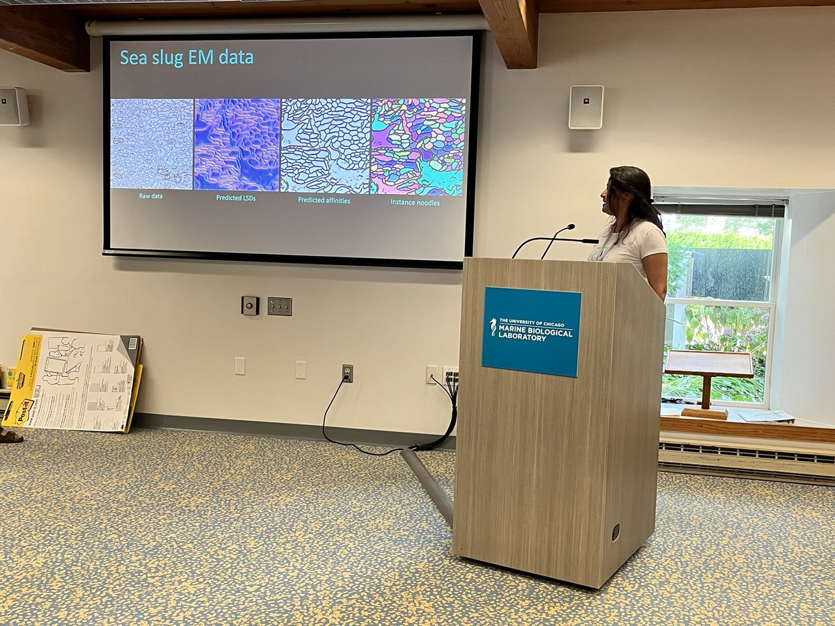 florianjug's tweet photo. 🤯🤯🤯 Instance segmentation results. 4 days!!! DL “beginners” course!!! 🤯🤯🤯 #soooproud #dlmbl @MBLScience https://t.co/6ciiivQGCq