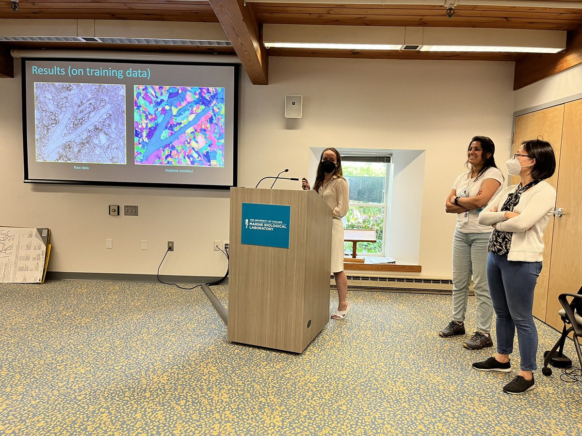 florianjug's tweet photo. 🤯🤯🤯 Instance segmentation results. 4 days!!! DL “beginners” course!!! 🤯🤯🤯 #soooproud #dlmbl @MBLScience https://t.co/6ciiivQGCq