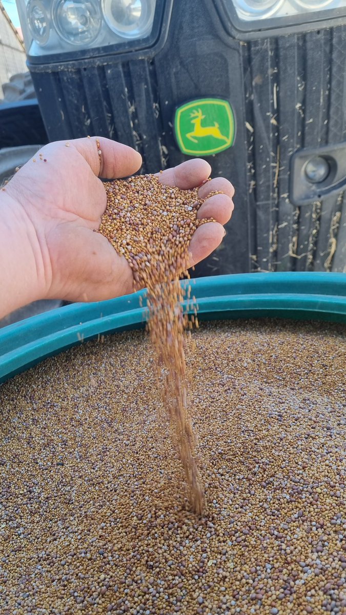 benj_thi's tweet photo. #agriculture
🍋 : obligation de semer des couverts avec résultat
🍋 🍋 : absence d'eau depuis début juillet
🍋 🍋 🍋  : jackpot de l'inadaptation de l'administration face aux climats (août c'est les vacances...)
A quand une bureaucratie de terrain et non hors-sol??!
@MFesneau https://t.co/abj9SVkGBT