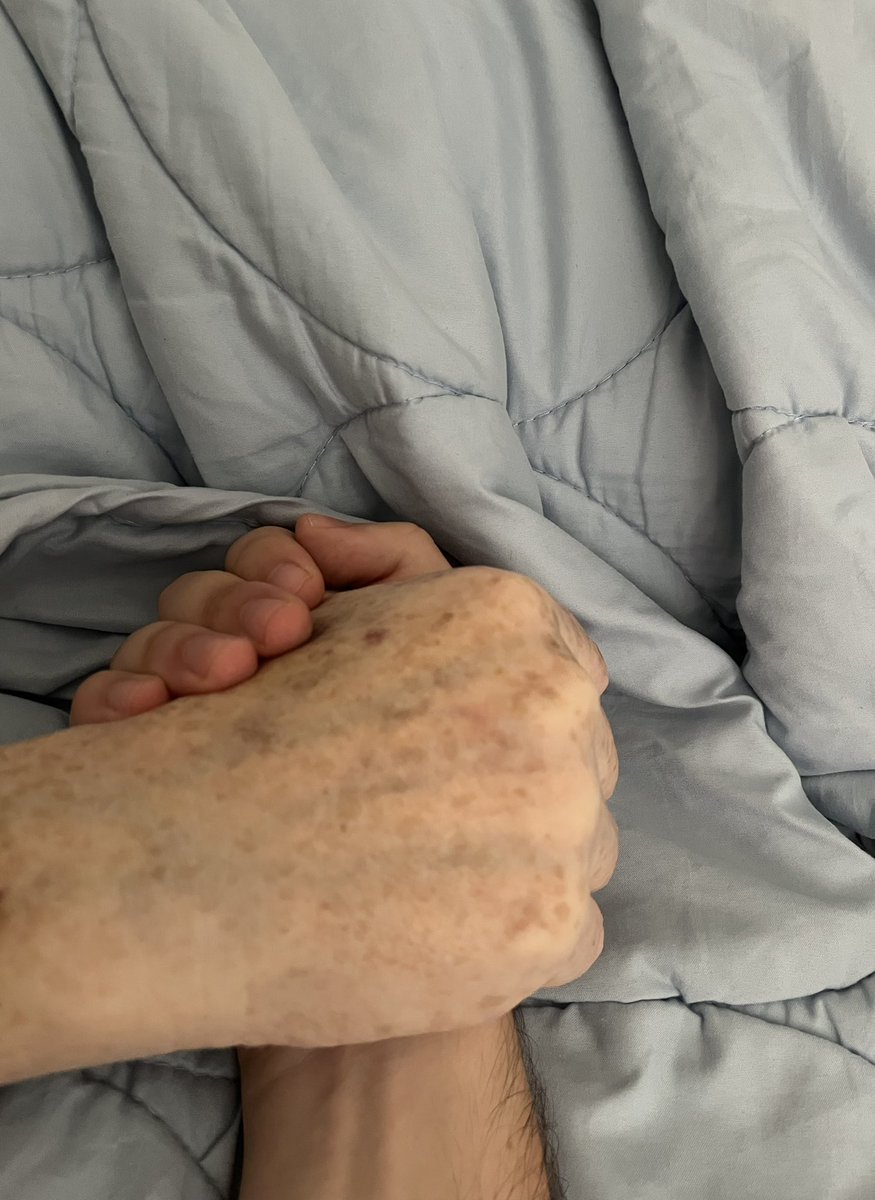 Fabrizio (⭐️⭐️+1 loading…) tweet media